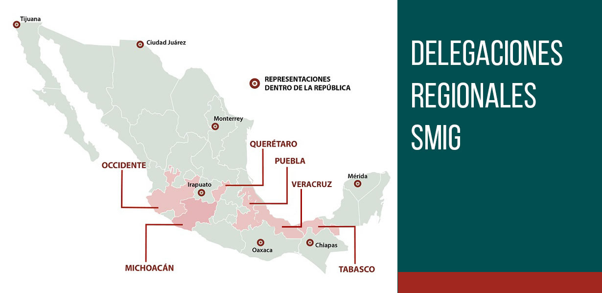 delegaciones regionales, smig, sociedad mexicana, ingenieria geotecnica